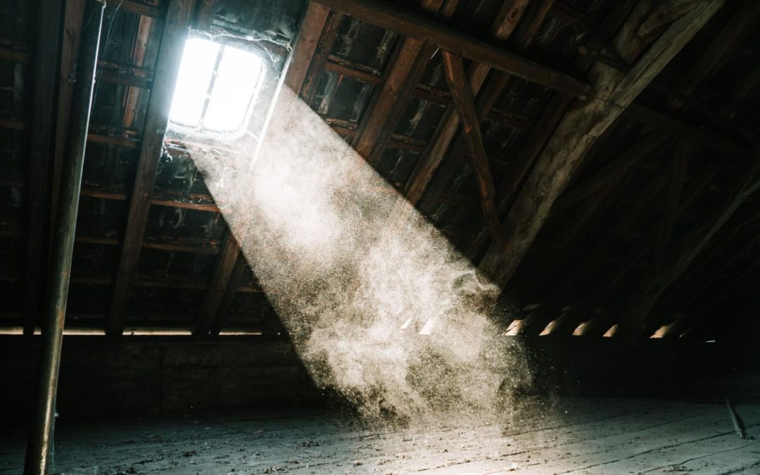 Cave, garage, grenier… pourquoi stocker vos biens chez vous n’est pas une si bonne idée ?